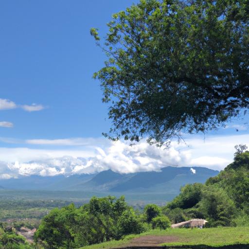 Contacto Telefónico Autobuses Costa de Oro en Guadalajara: ¡Llama ahora!